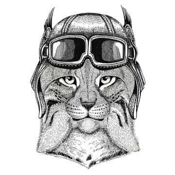 Wild cat Lynx Bobcat Trot wearing leather helmet Aviator, biker, motorcycle Hand drawn illustration for tattoo, emblem, badge, logo, patch