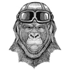 Gorilla, monkey, ape Frightful animal wearing leather helmet Aviator, biker, motorcycle Hand drawn illustration for tattoo, emblem, badge, logo, patch
