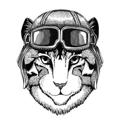 Image of domestic cat wearing leather helmet Aviator, biker, motorcycle Hand drawn illustration for tattoo, emblem, badge, logo, patch