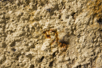 cement yellow background