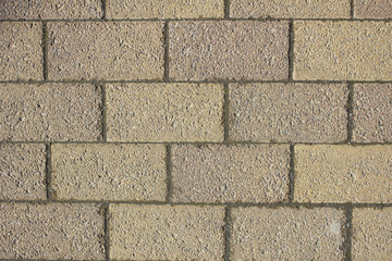 Background of brick wall texture