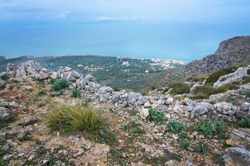 Green spring mountain landscape