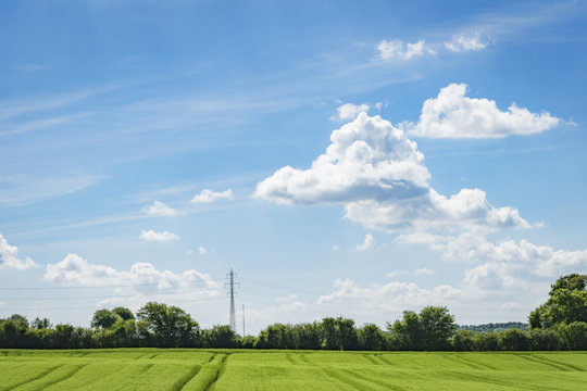 Green fields in a rural countryside landscape