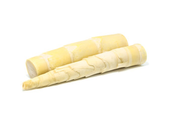 Bamboo shoot on white background.