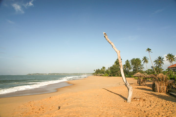 Tropical Beach Africa