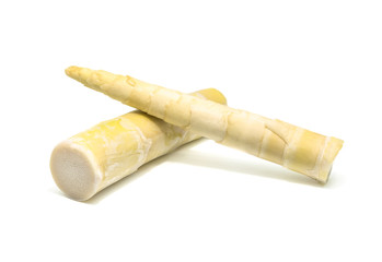 Bamboo shoot on white background.