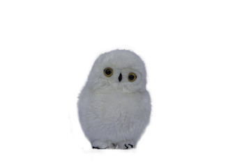 Stuffed animal owl toy,Isolated on white background.