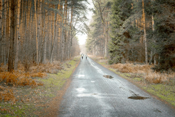 Aktiv im Wald