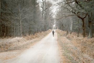 Aktiv im Wald