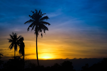 Golden tropical sunset with silhouette palm trees