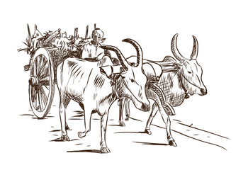 Hand drawn sketch of bullock cart in vector illustration.