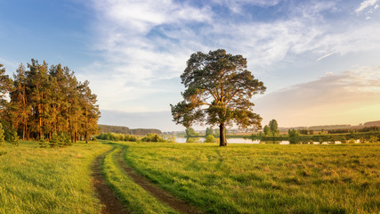 летний пейзаж на Уральской реке с деревьями на берегу, Россия, июнь,