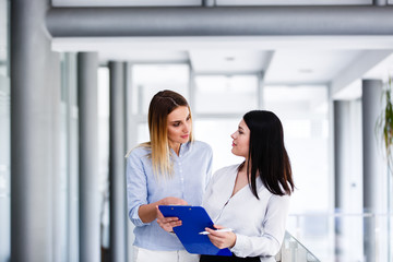 Two attractive womens standing in business interior and working with some documents