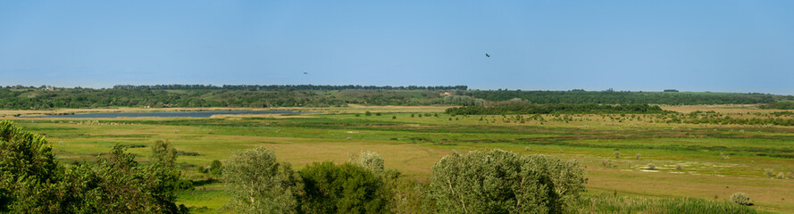 Obraz premium Magnificent greenery in a landscape with a light color and a blue sky