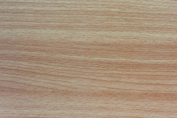 beech wood laminate texture background