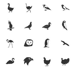 Obraz na płótnie Canvas birds icon set