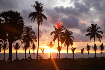 Travel to island Koh Lanta, Thailand. Palms tree on the background of the colorful sunset and cloudy sky.