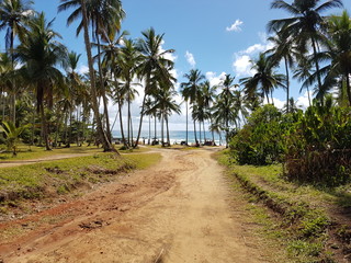 Fototapeta na wymiar Way to the beach. Bahia Brazil