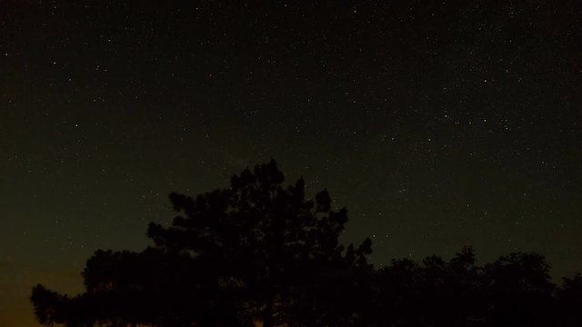 Starry Night in the Background of the Lonesome Pine Transitioning into the Dawn. TimeLapse. 4K.

