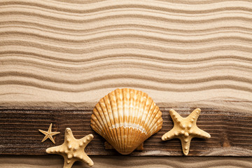 Fototapeta na wymiar Starfish and wooden plank on beach sand