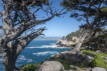 Monterey Coast