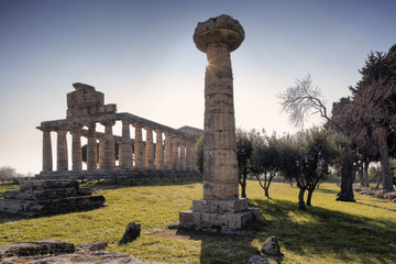 Paestum, tempio di Cerere