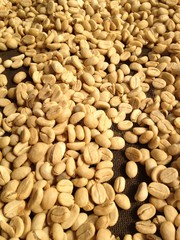 coffee beans