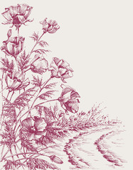 Poppy flowers on the road hand drawing. Summer background design