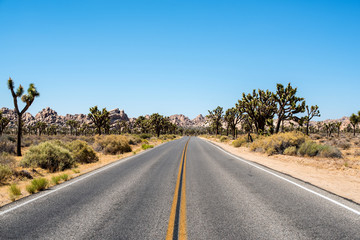 Joshua tree National Park