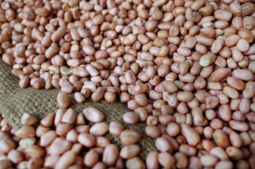 Heap of Boiled Peanut make them Dried 3
