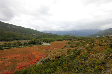 Autumn colored landscape near Fagnano lake along the road to Puerto Williams, Tierra Del Fuego, Patagonia, Chile