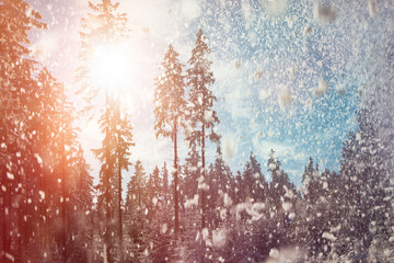 Schneeschauer und Sonnenschein im Thüringer Wald