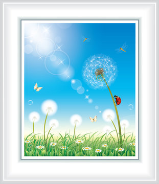 Flower meadow with dandelions and daisies