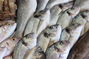 Fresh Fish for sale at a popular fish market in Fethiye,Turkey