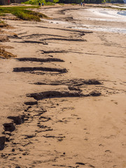 Amazing sand patterns caused by the channels in the sand at Arnside, Lancashire, UK