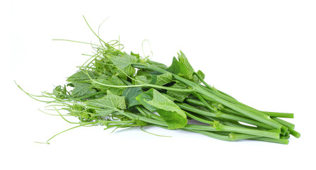 Fresh top gourd on white background
