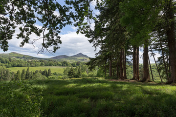 Great Sugar Loaf
