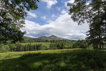 Great Sugar Loaf