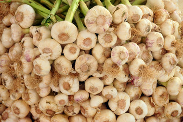 garlic on the market