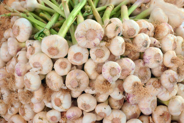 garlic on the market