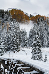 Autumn Scenery in the Rocky Mountains of Colorado.