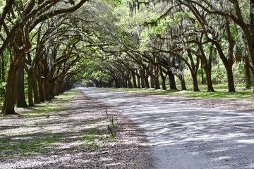 Historic Wormsloe plantation entrance