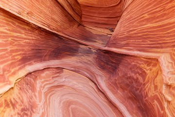 The Wave, Coyote Buttes in the Vermilion Cliffs