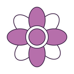 cute flower isolated icon vector illustration design