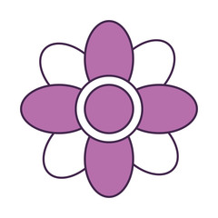 cute flower isolated icon vector illustration design