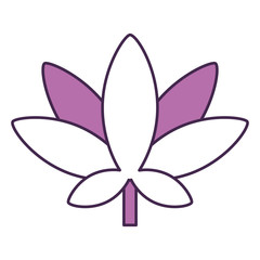 leaf plant decorative icon vector illustration design