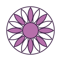 cute flower isolated icon vector illustration design