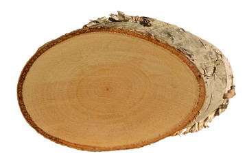 Birkenschildchen