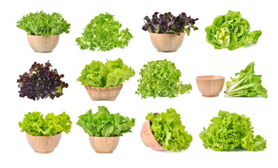 Fresh lettuce leaves