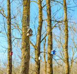 A few birdhouses in the park. House for birds. Caring for animals concept